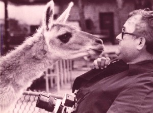 Photographer and llama