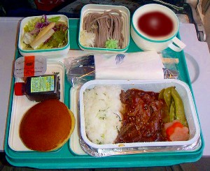 air passenger meal